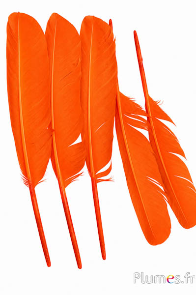 Cigno - 30-33 cm - arancioni